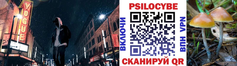 Псилоцибиновые грибы Psilocybe  Купить  Духовщина 
